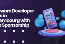 Software Developer Jobs in Luxembourg with Visa Sponsorship 2024