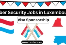 Cyber Security Jobs in Luxembourg with Visa Sponsorship 2024