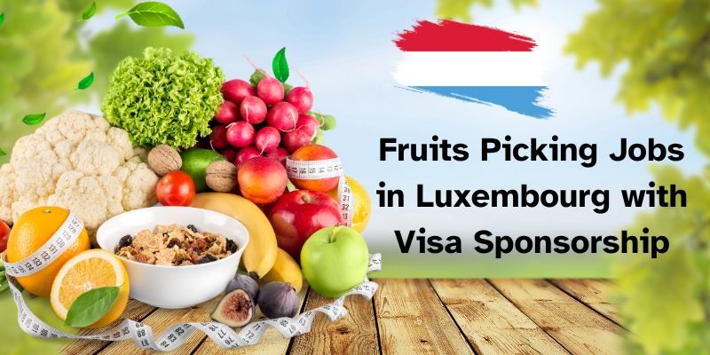 Fruits Picking Jobs in Luxembourg with Visa Sponsorship