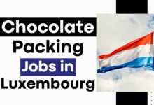 Chocolate Packing Jobs in Luxembourg with Work Permit