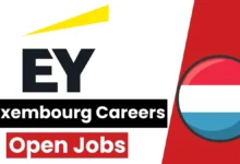 EY Luxembourg Careers: Open Jobs/Application Process