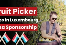 Fruit Picker Jobs with Visa Sponsorship in Luxembourg 2025 (£13.50 to £14.50 Per Hour)